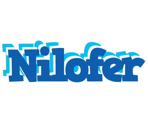 Nilofer business logo
