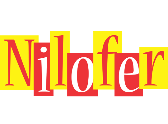 Nilofer errors logo