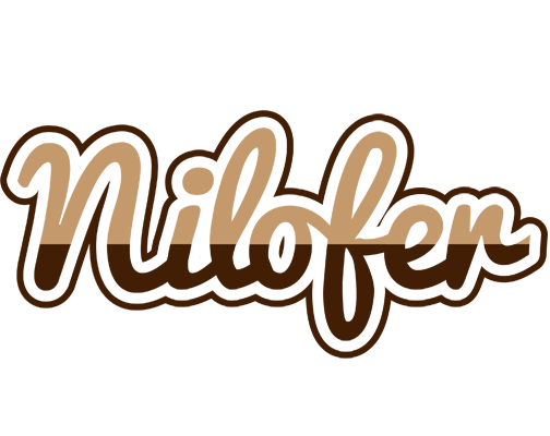 Nilofer exclusive logo