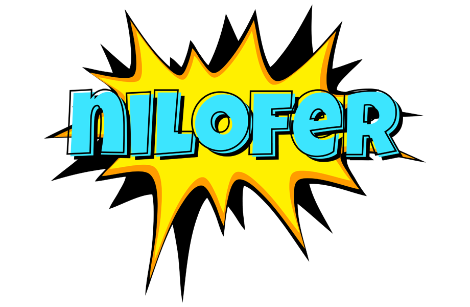 Nilofer indycar logo