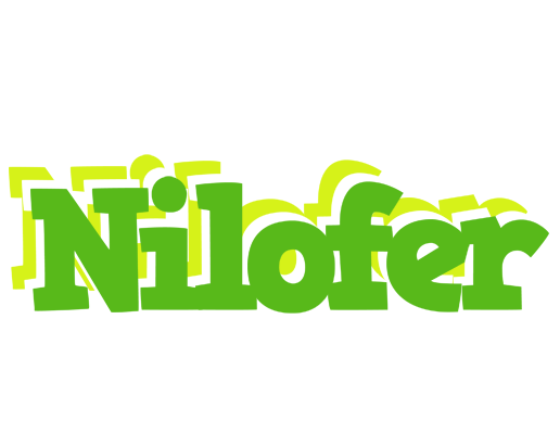 Nilofer picnic logo