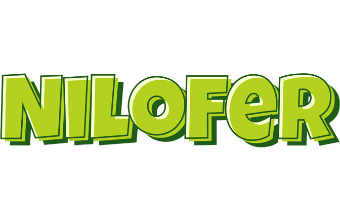 Nilofer summer logo