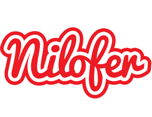 Nilofer sunshine logo