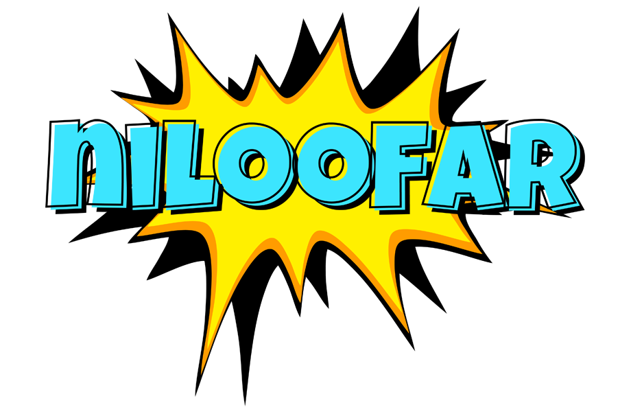 Niloofar indycar logo