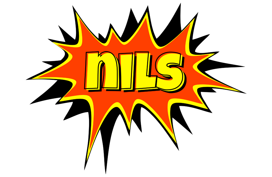 Nils bazinga logo