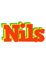 Nils bbq logo