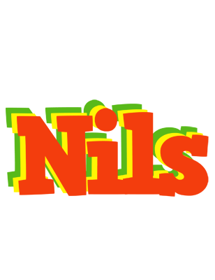 Nils bbq logo