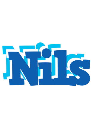 Nils business logo