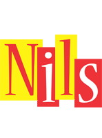 Nils errors logo