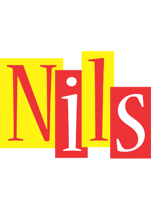 Nils errors logo