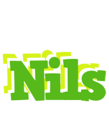 Nils picnic logo