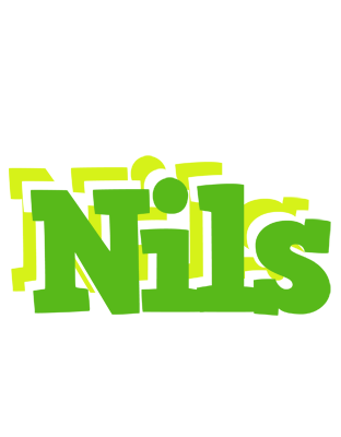 Nils picnic logo