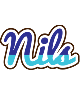 Nils raining logo