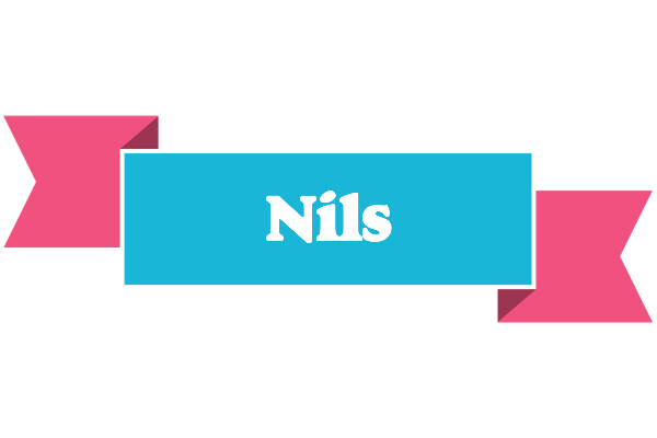 Nils today logo