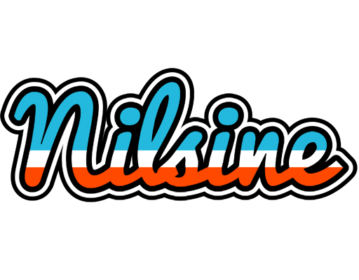 Nilsine america logo