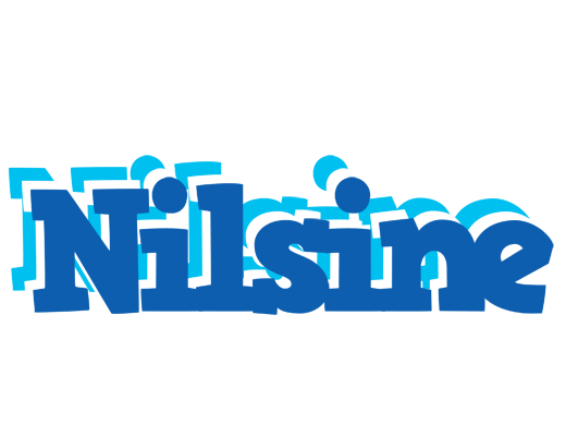 Nilsine business logo