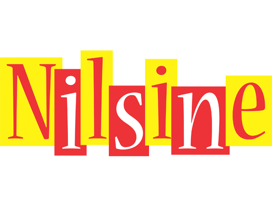 Nilsine errors logo