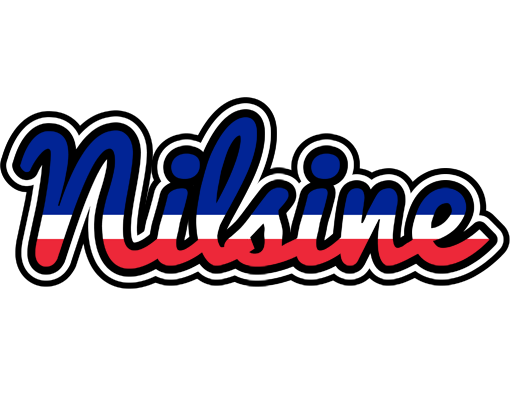 Nilsine france logo