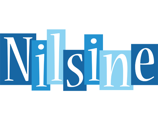 Nilsine winter logo