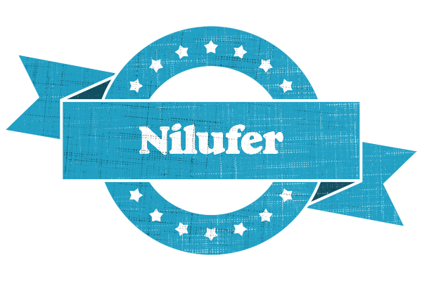 Nilufer balance logo