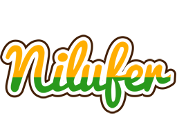 Nilufer banana logo