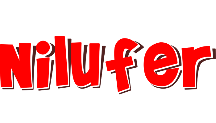 Nilufer basket logo