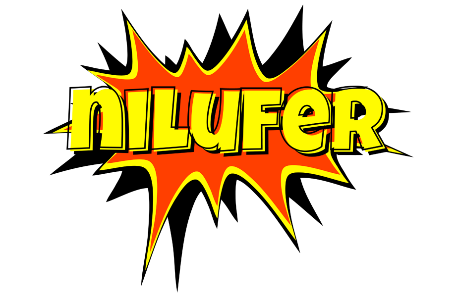 Nilufer bazinga logo