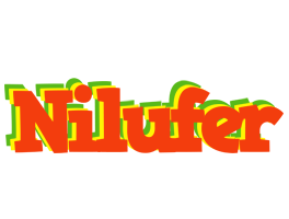 Nilufer bbq logo