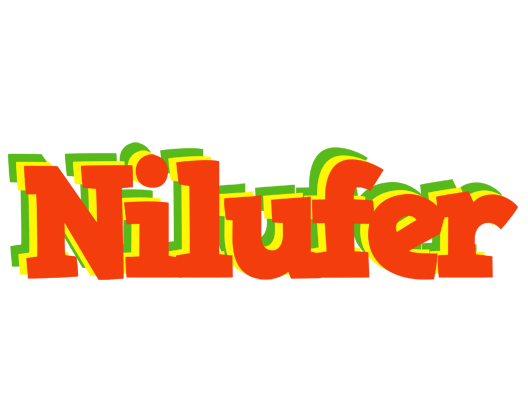 Nilufer bbq logo