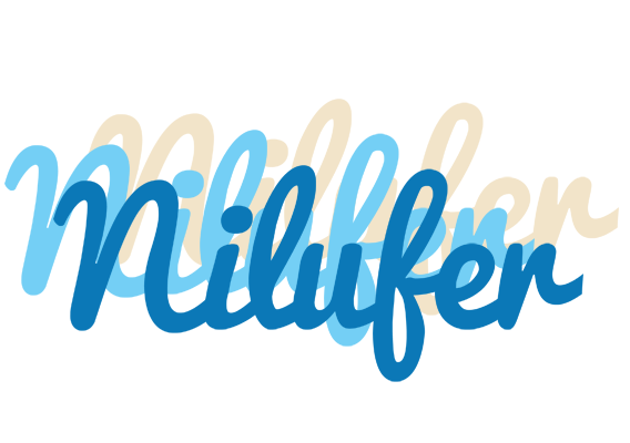 Nilufer breeze logo