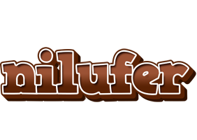 Nilufer brownie logo