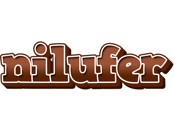 Nilufer brownie logo