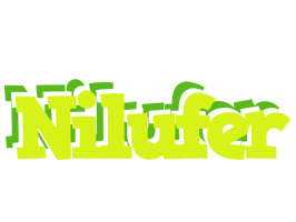 Nilufer citrus logo