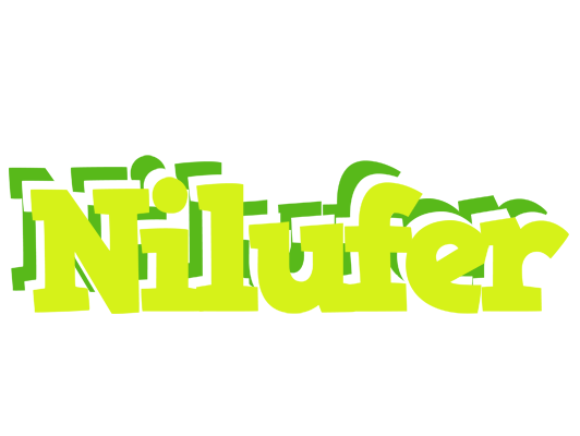 Nilufer citrus logo