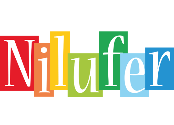 Nilufer colors logo