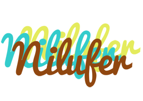 Nilufer cupcake logo