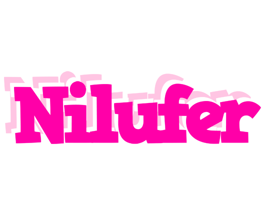 Nilufer dancing logo