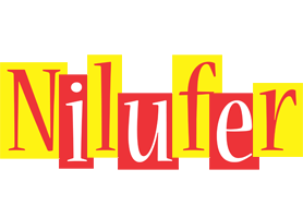 Nilufer errors logo