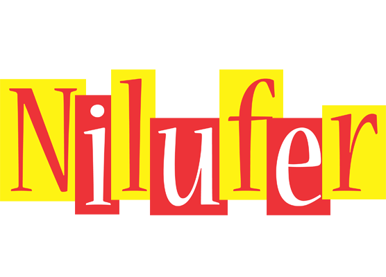 Nilufer errors logo