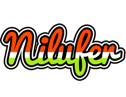 Nilufer exotic logo