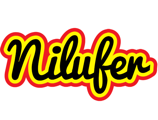 Nilufer flaming logo