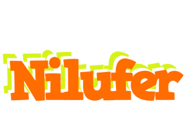 Nilufer healthy logo