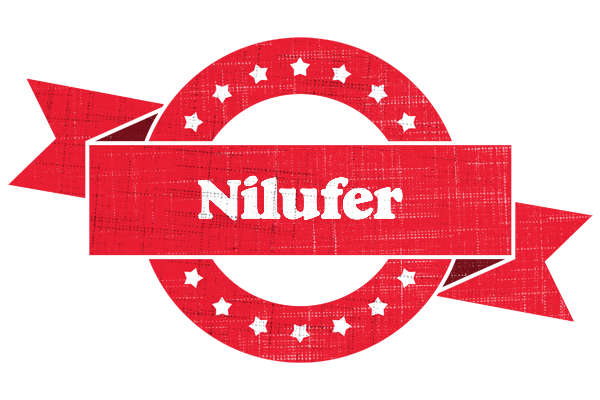 Nilufer passion logo