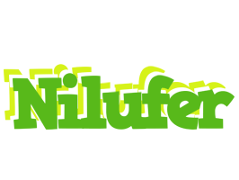 Nilufer picnic logo