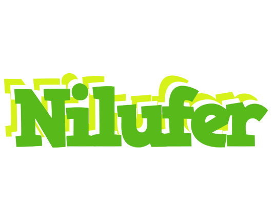 Nilufer picnic logo