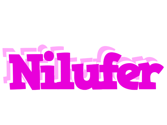 Nilufer rumba logo