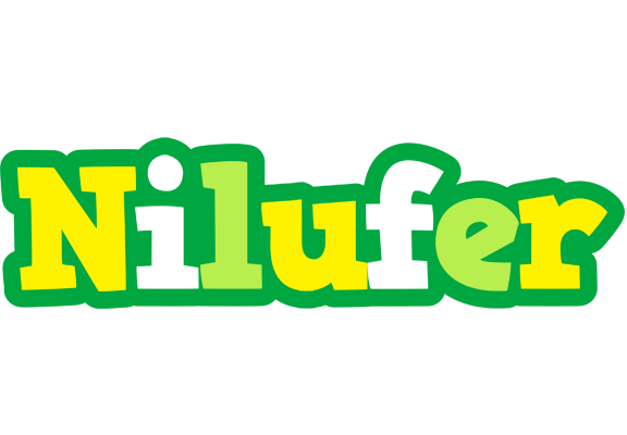 Nilufer soccer logo