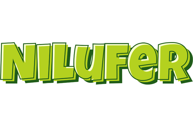 Nilufer summer logo