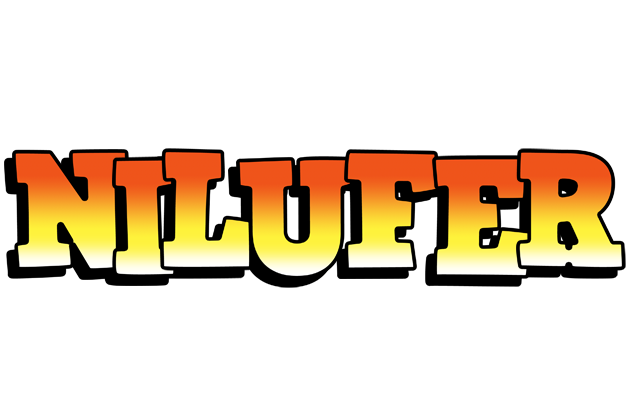 Nilufer sunset logo