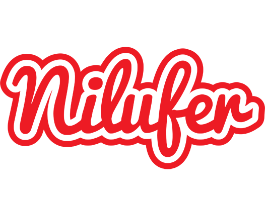 Nilufer sunshine logo